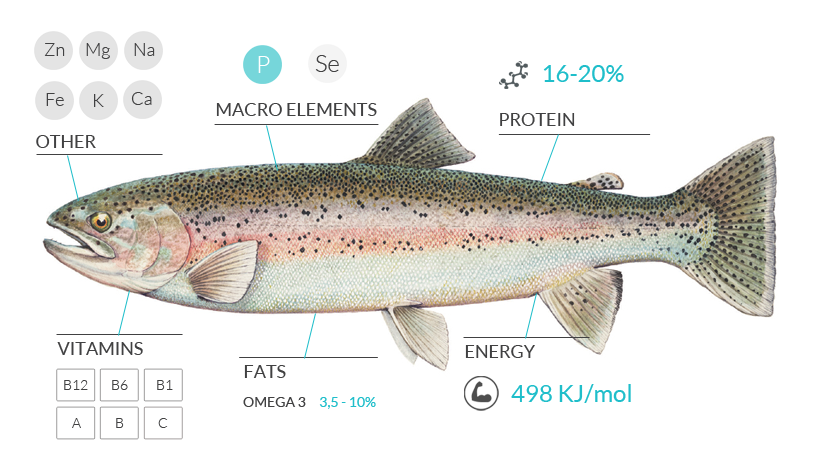 The Trout Izvor